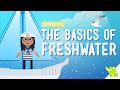 The Basics of Freshwater: Crash Course Kids 14.1