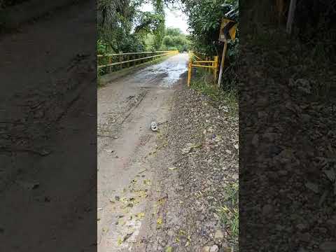 Arroceros a punto de tumbar un puente
