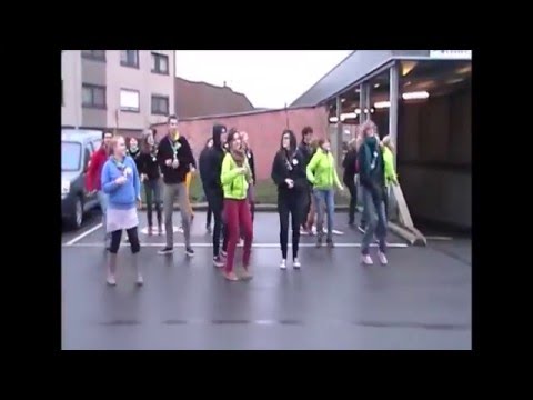 Kazou Sint-michielsbond flashmob 2013