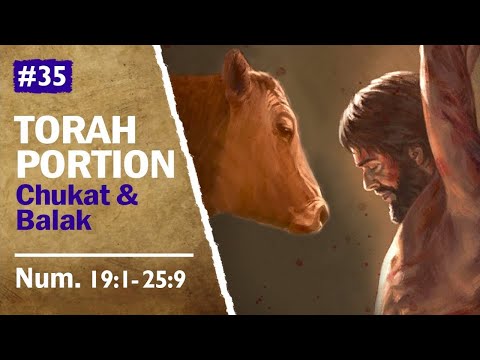 Torah Portion Chukat & Balak - Red Heifer Sacrifice, Balak and Balaam and The Fig Tree