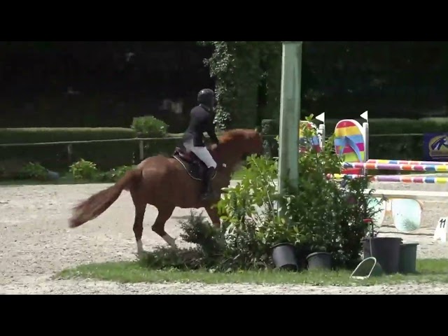 HORS SERIE DU MOULIN