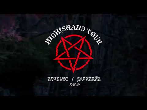 Video 11