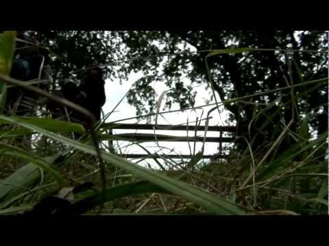 Der Sören unterwegs... - Rheinsteig & Rhein-Burgen-Weg