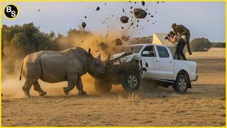 27 Terrifying Safari Moments Caught on Camera