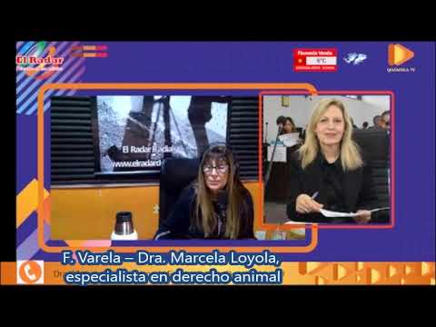F Varela Dra Marcela Loyola, especialista en derecho animal