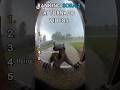 SORA 2 AI Ranking Tornado Videos Goes Crazy ️ Funny Viral Viralvideo Sora Animals Ai