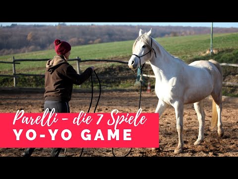 Die 7 Spiele nach Parelli - Yo-Yo Game | ausführliche Anleitung Teil 4/7