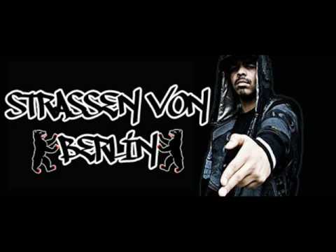 Tierstar Andrez - Straßen von Berlin