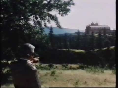 Heartbeeps-1981-Powering down