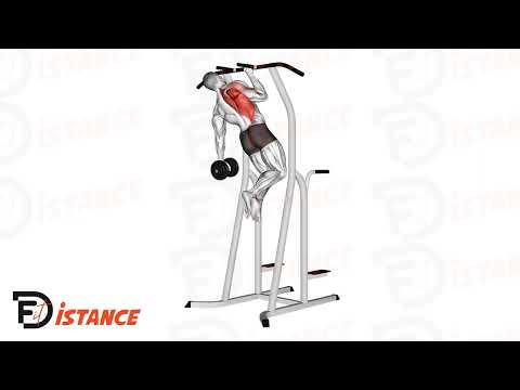 Traction à un bras - Exercice Traction à un bras en vidéo Traction à un bras - Exercice Traction à un bras en vidéo