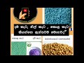 Common Name Of Inorganic Fertilizer Keta Pohora Krushi Lanka