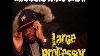 large professor - in the sun ft. q-tip