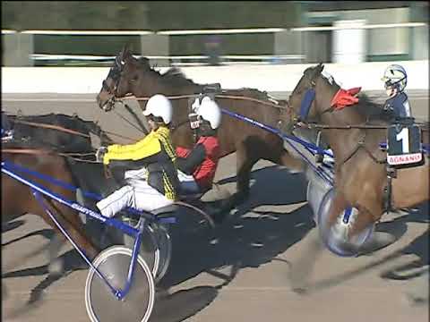 Trotto 10/01/2020 - 2ª corsa