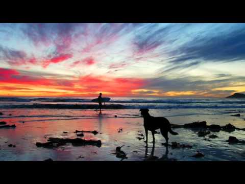 Punk Mbedzi - Be That Change (feat. Zothea)