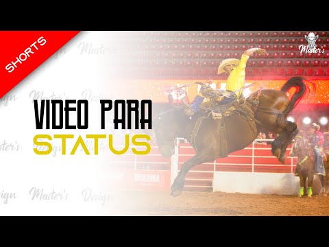 SHORTS - CUTIANO BARRETOS | NOS EMPURRA NA TCHUCA, PUXA NA NUCA (Master's Edits)