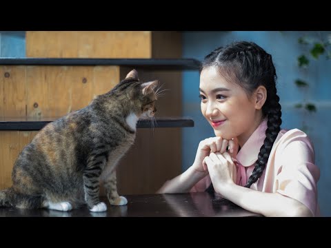 k_sinthuwanon’s Video 165235046810 oaU175r8XAg