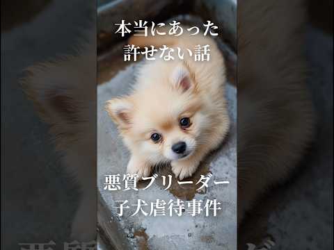 なぜ鶏にタイムを与えるのでしょうか？ブリーダーはそれをどのように利用して、その 3 つの驚くべき利点を享受しているのでしょうか?  庭園