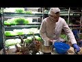 $1200/week growing microgreens in a 240 square foot room!!! $1200/week growing microgreens in a 240 square foot room!!!