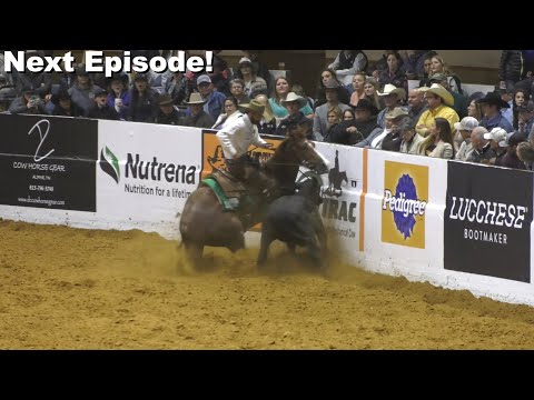 Horse of the West  2018 NRCHA Snaffle Bit Futurity
