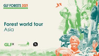 Forest world tour: Asia