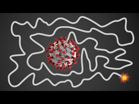 1 Minute Timer BOMB  CORONAVIRUS 