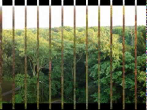 Valente y Cáceres - No me olvides