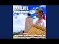 Luciérnaga (Panflute Version)