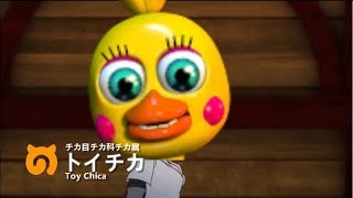 けものフナッフ　10話「ろっと」