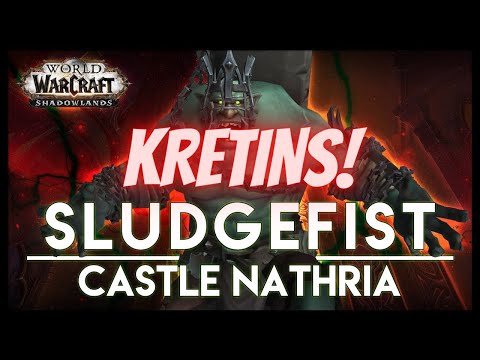 Sludgefist HC - Castle Nathria - Marksman Hunter