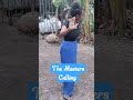 The Masters Calling #shorts #shortsvideo #short