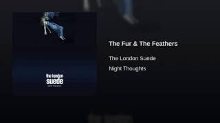 The Fur & The Feathers