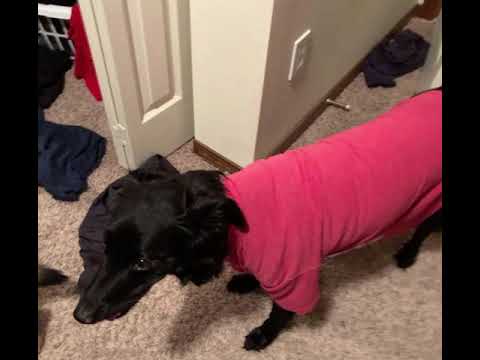 Keru - Cat Cat Watcha be On? (Official Audio)