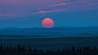 Coldplay - Lovers in Japan (Lyrics)