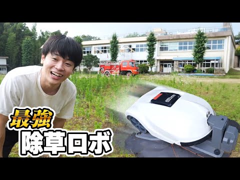学校に雑草が生えすぎていてヤバい件【最強除草ロボ導入】