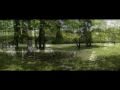 Fragile (Jesse Cook, Holly Cole)