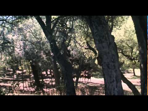 Un mariage trop parfait