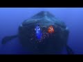Dory Talking Whale Scene Finding Nemo 2003