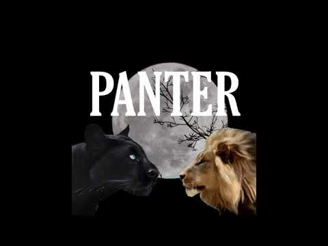 PANTER X FLEX (Twich Efsaneleri Ve Old )