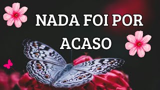 Nosso Amor Já Estava Escrito Nas Estrelas | | Linda mensagem de Amor 🌺🌟😍