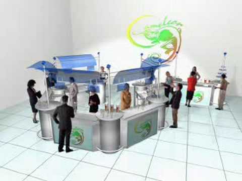 Cameleon-System - Details zum Cameleon 2