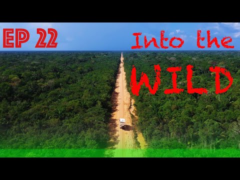 AMAZONAS, Brasilien - Quer durch den größten Regenwald - TRANSAMAZONICA BR 319 -ZEITreise Ep 22