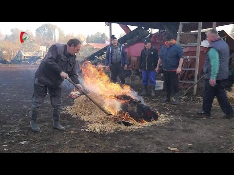 Pannon Gazda – 2025.11.28.