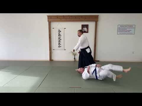 6th  Kyu Testing Techniques