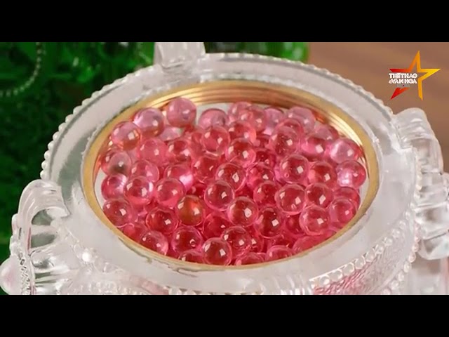 Xá Lợi Phật Trưng Bày Núi Bà Đen