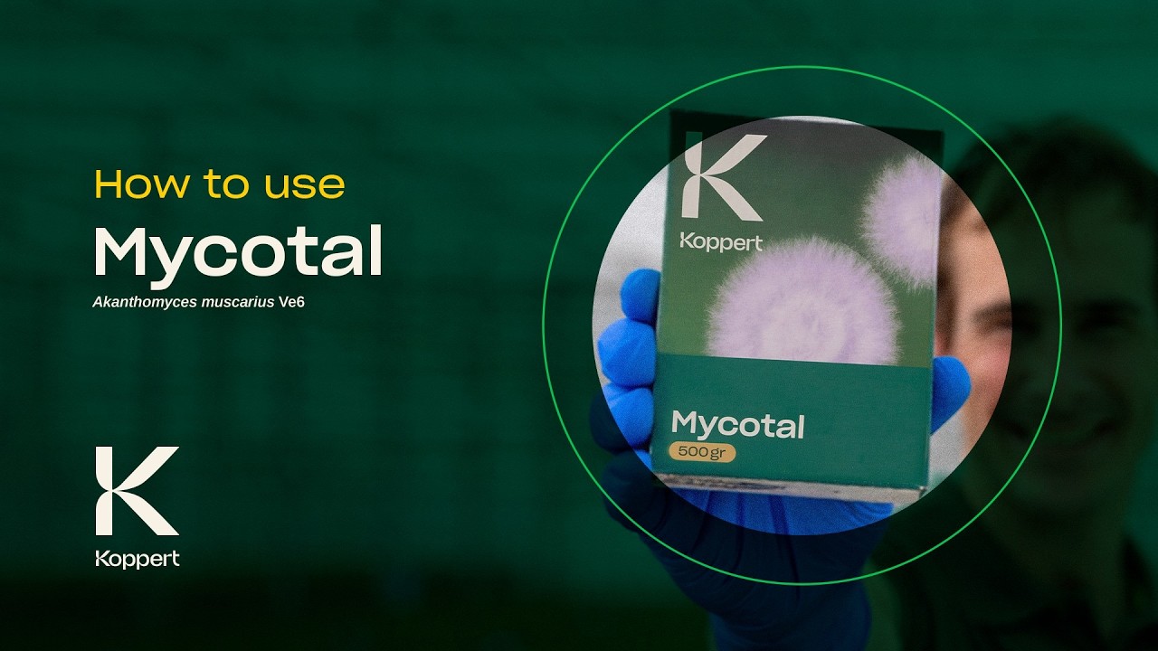 Video preview poster