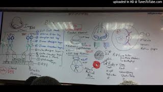 21) Dr. Wael Salah neovascular glucoma , introduction of retina