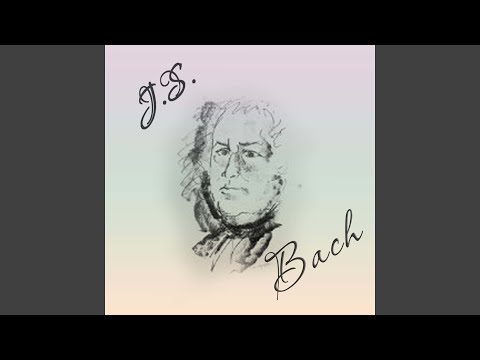 Organ Sonata No. 3 in D Minor, BWV 527: III. Vivace