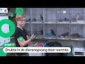 Bas helpt zieke en gewonde dieren
