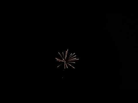 SCP37/100 - 100mm Yellow Palm with Tail