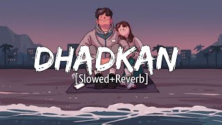Download lagu Dhadkan [Slowed Reverb] Jubin Nautiyal - Palak Muchhal - Amavas - Lyrics - RaMe Music mp3